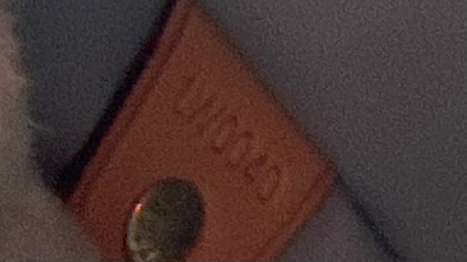 Louis Vuitton Houston Top Handle Bag