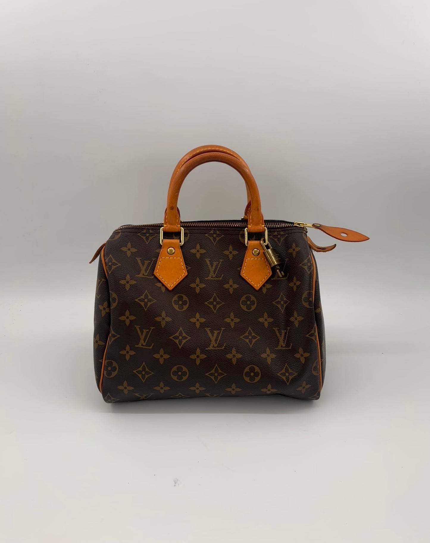 Louis Vuitton Speedy 25