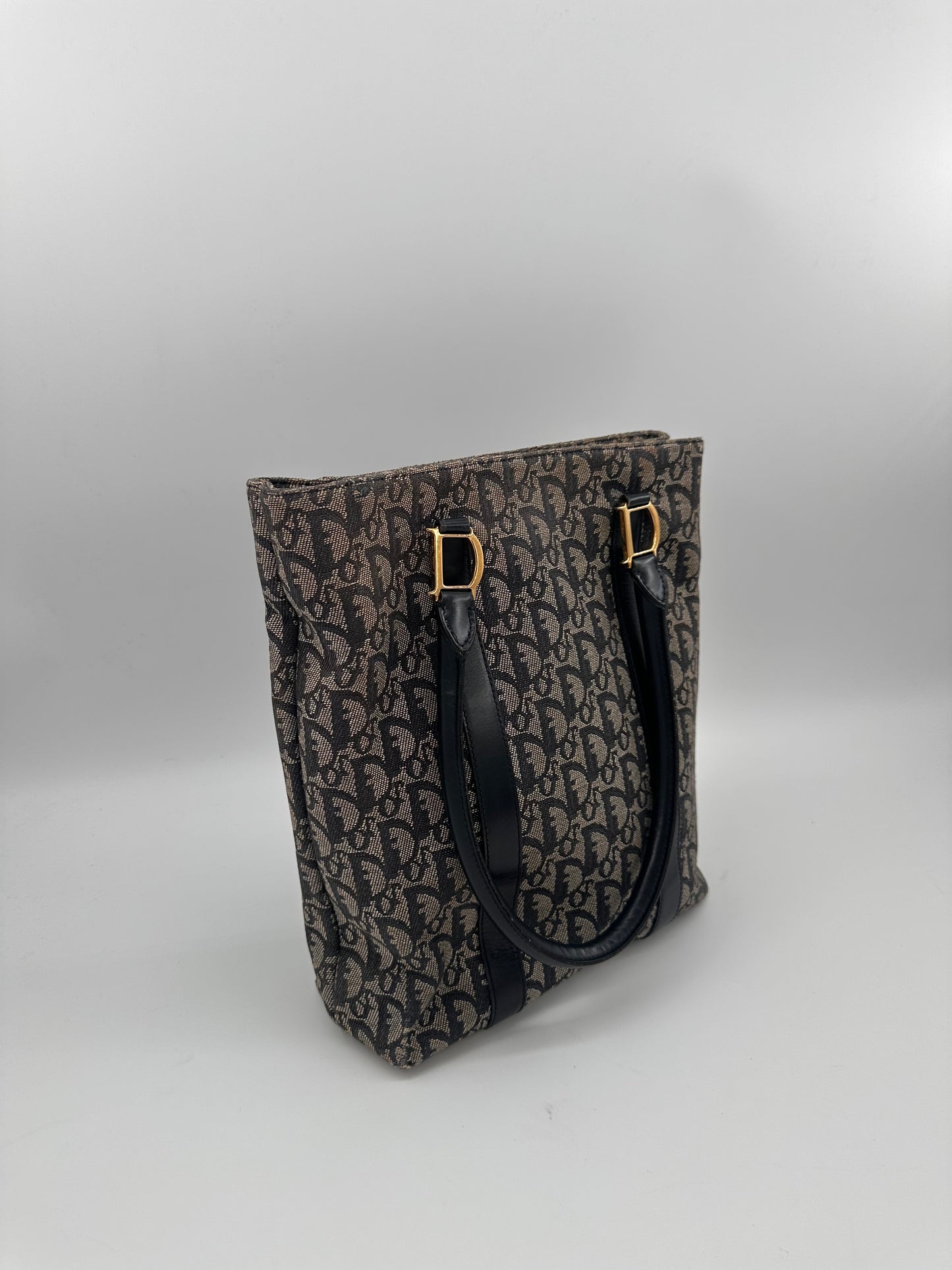 Christian Dior Trotter Canvas Tote