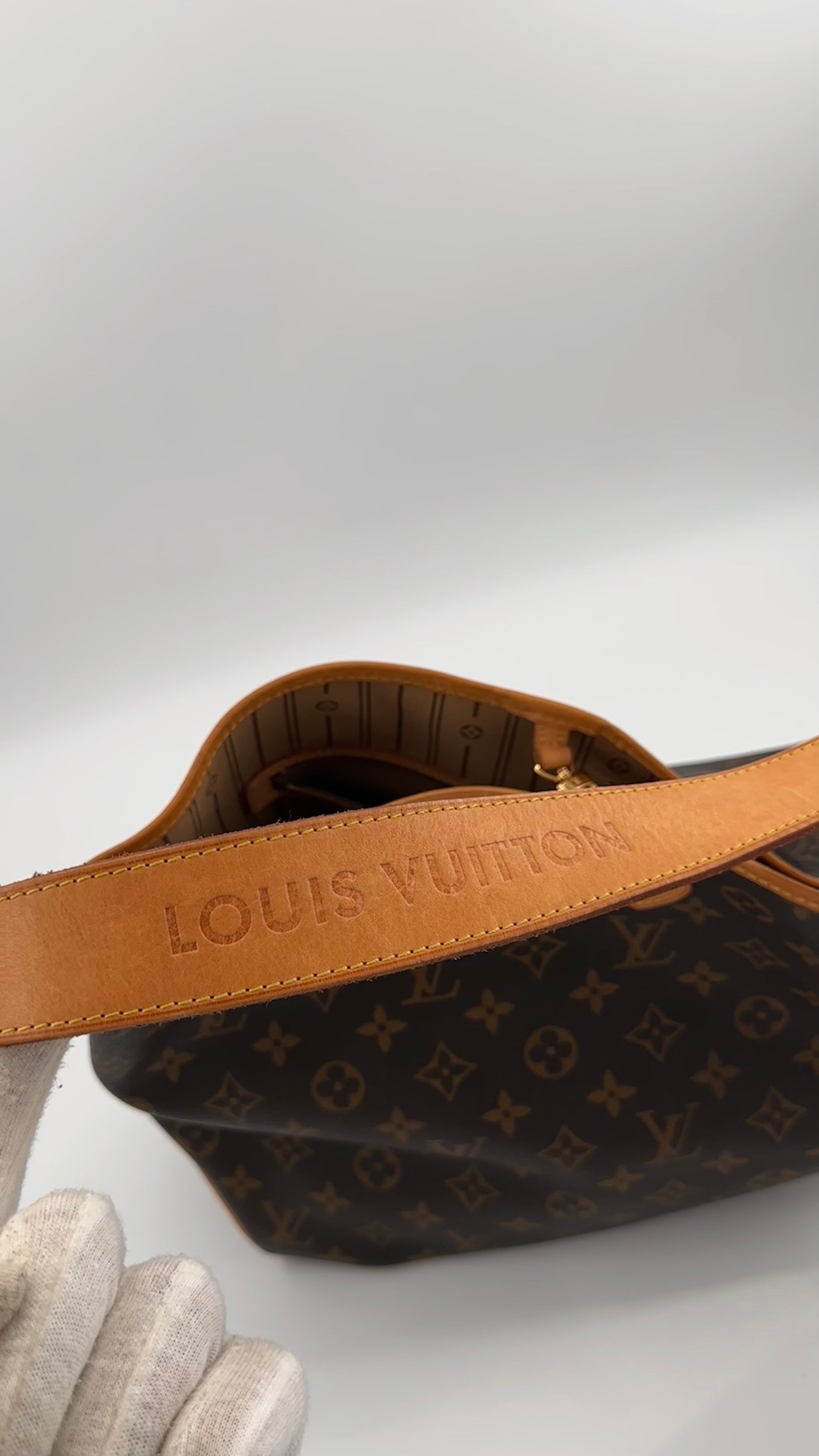 Louis Vuitton Delightful