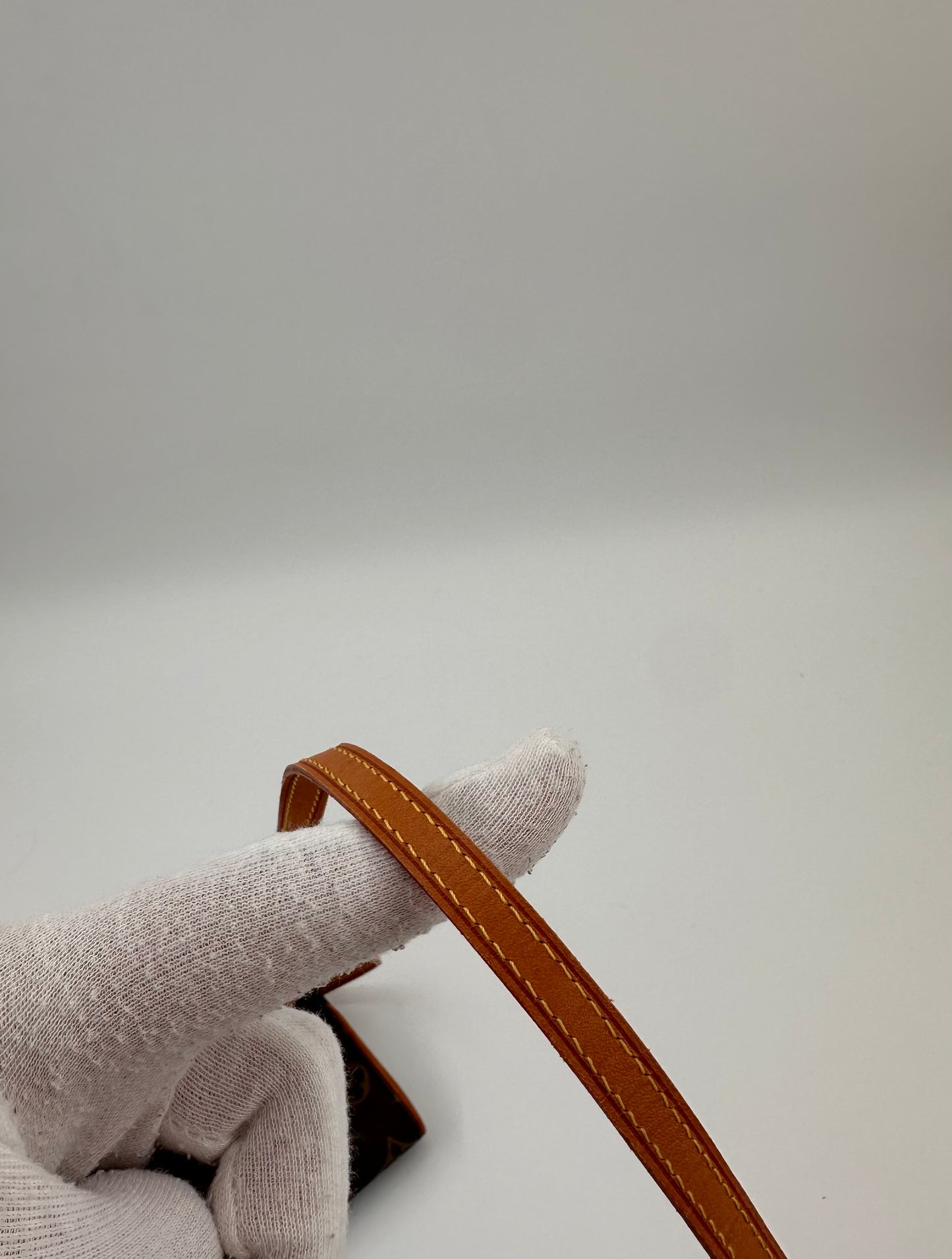 Louis Vuitton Twin Pochette
