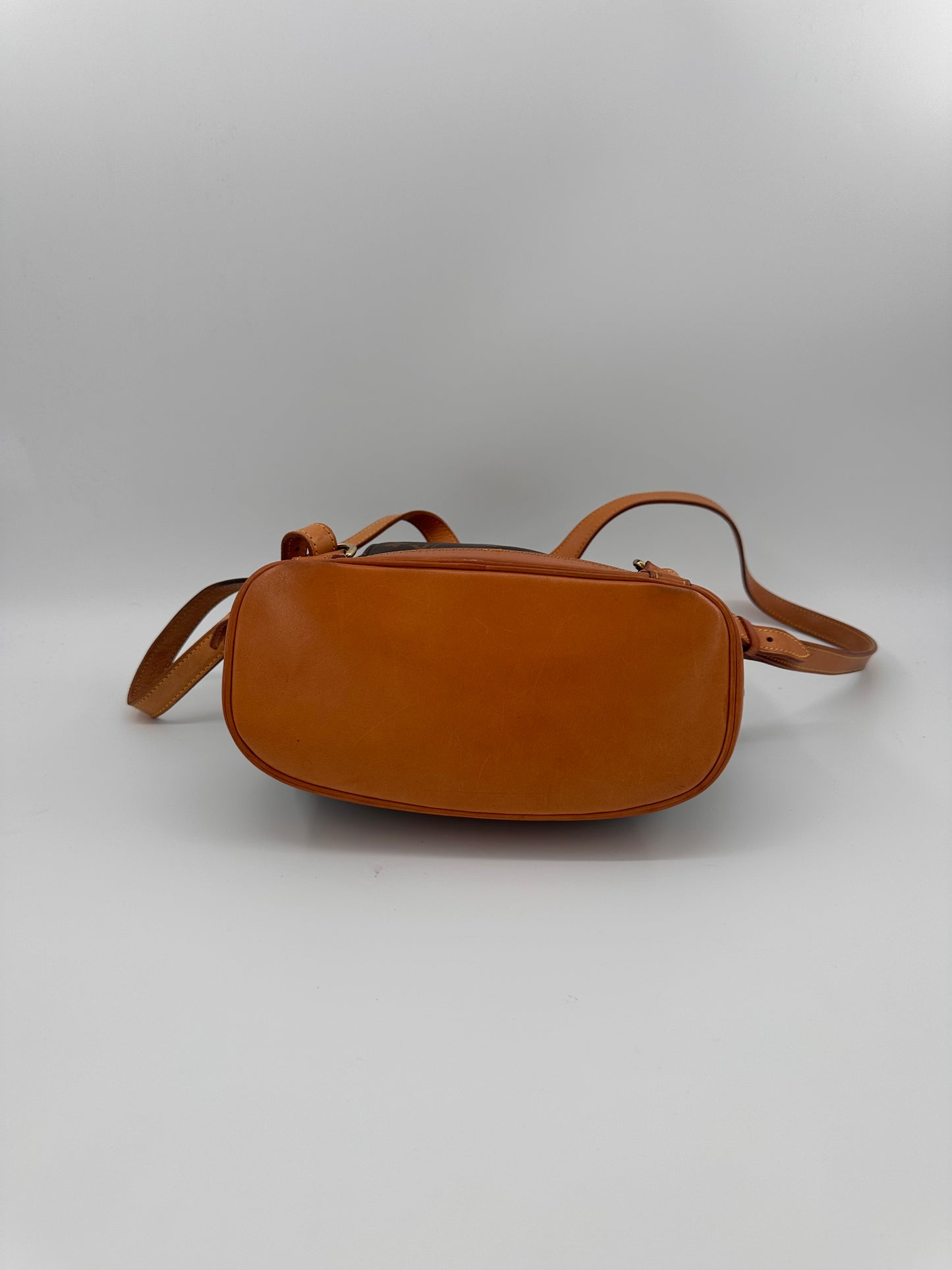 Louis Vuitton Montsouris MM backpack
