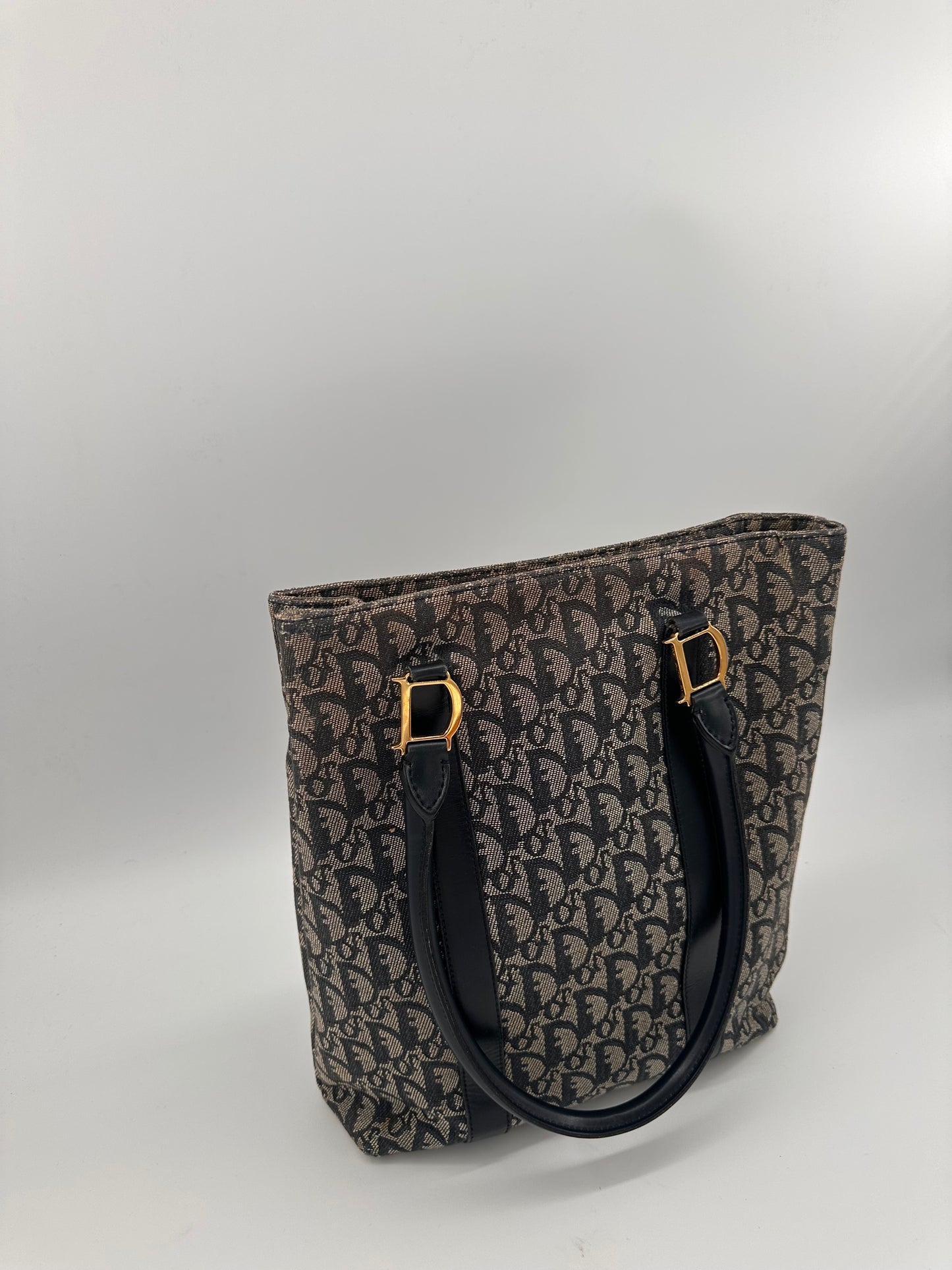 Christian Dior Trotter Canvas Tote