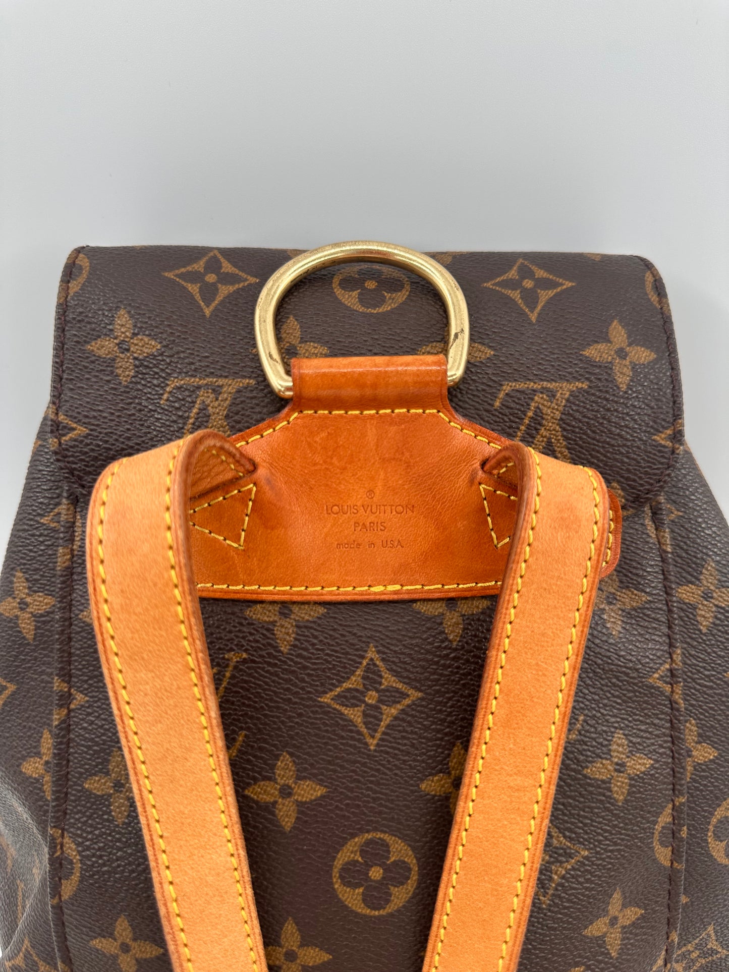 Louis Vuitton Montsouris MM backpack