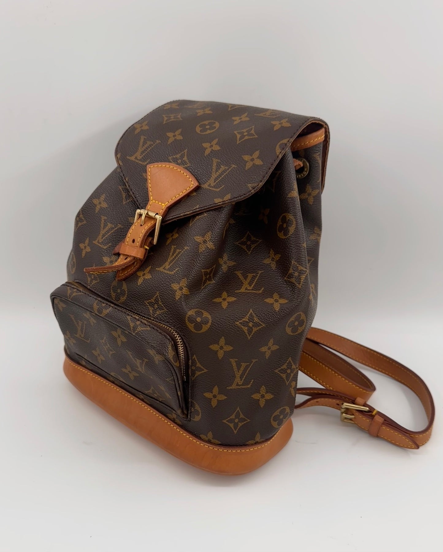 Louis Vuitton Montsouris MM Backpack