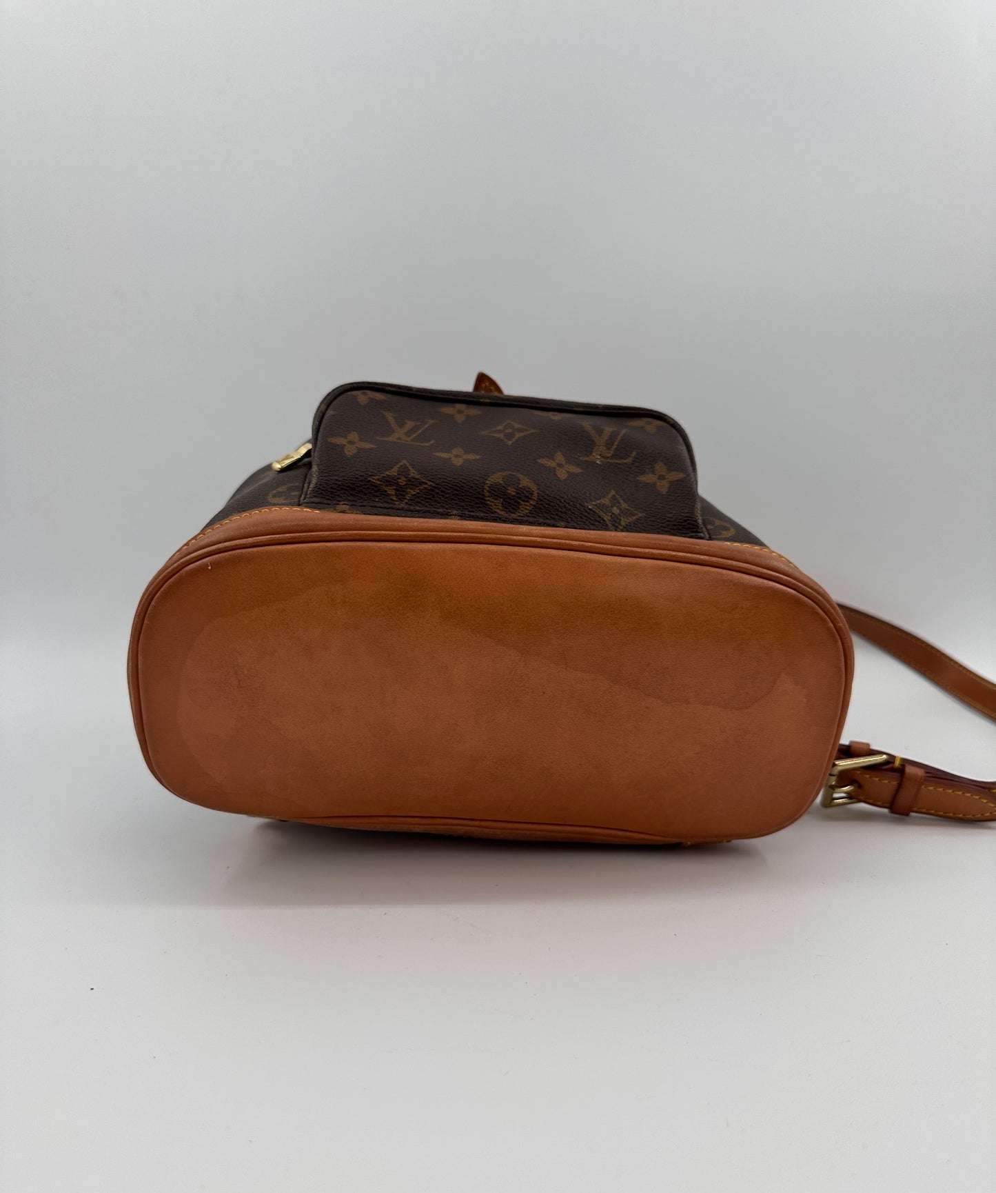Louis Vuitton Montsouris MM Backpack