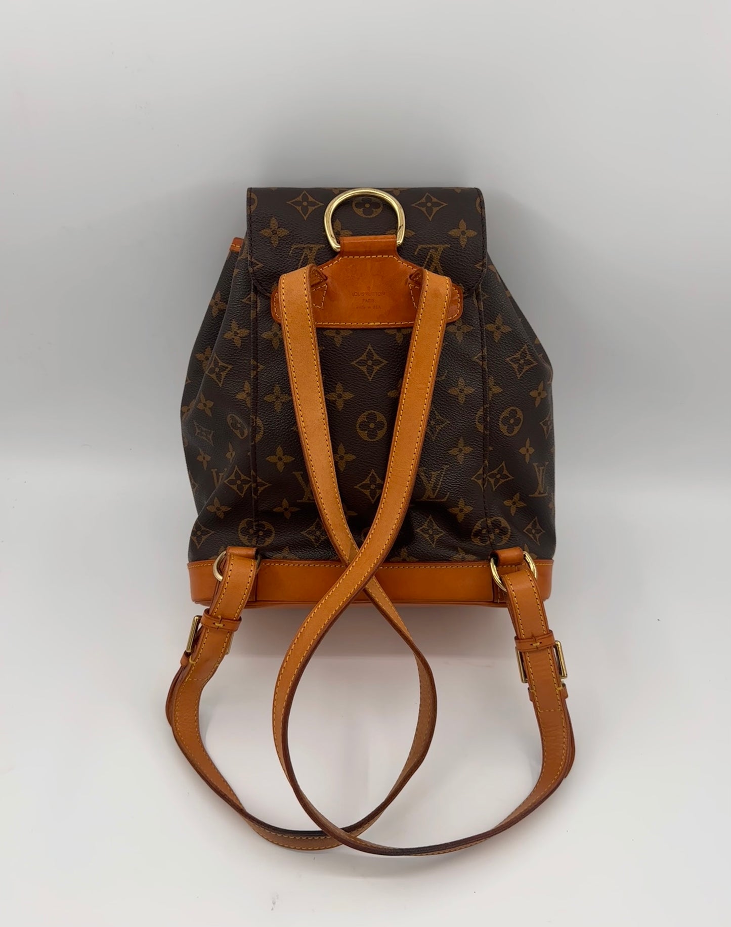 Louis Vuitton Montsouris MM backpack