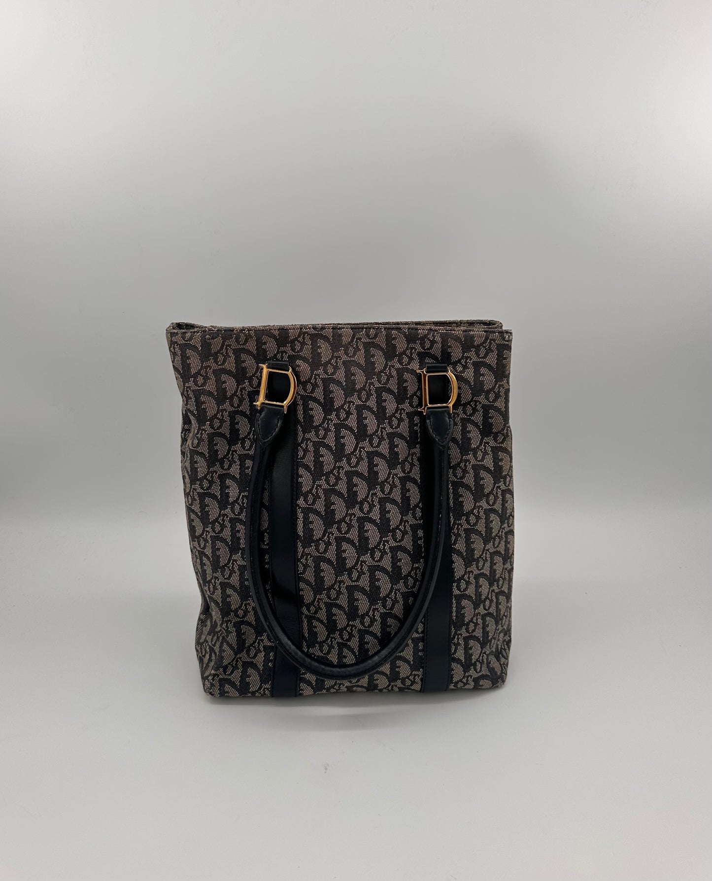 Christian Dior Trotter Canvas Tote