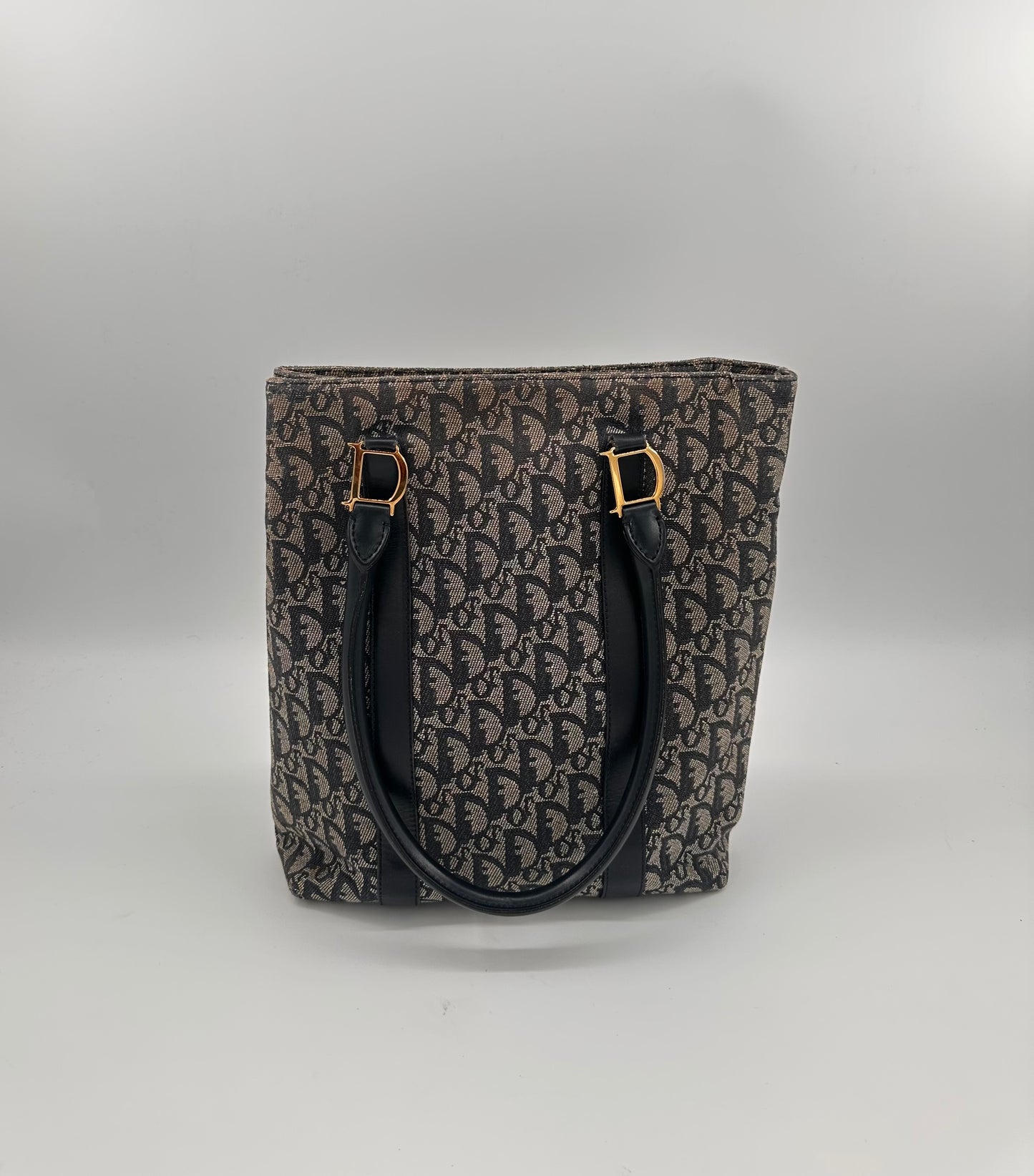 Christian Dior Trotter Canvas Tote