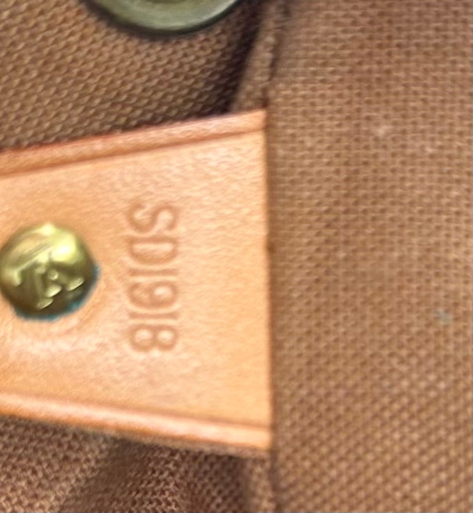Louis Vuitton Montsouris MM backpack