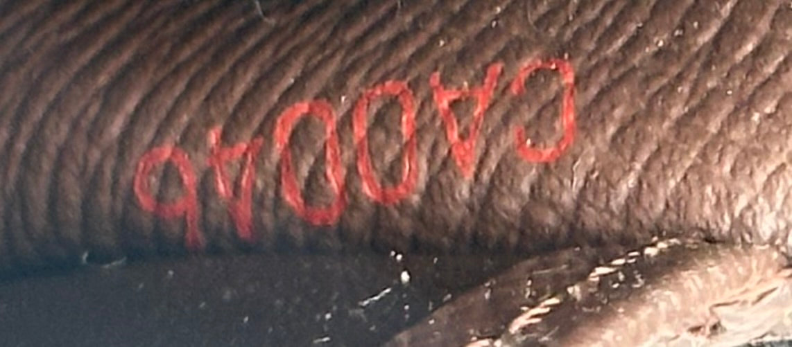 Louis Vuitton Agenda PM
